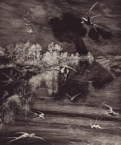 Eijffinger Intrade - Geonature