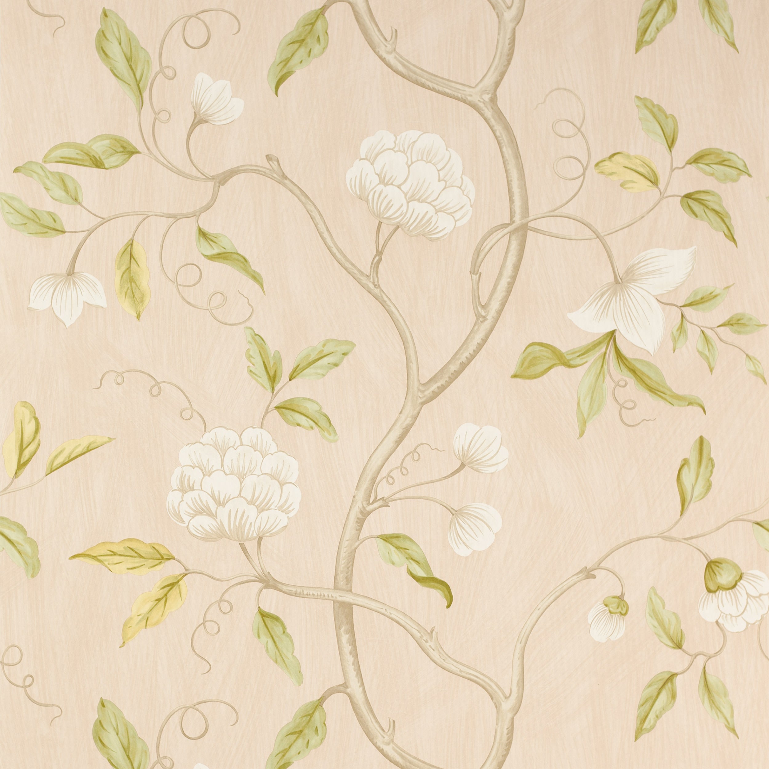 Colefax and Fowler - Snow Tree Old Pink