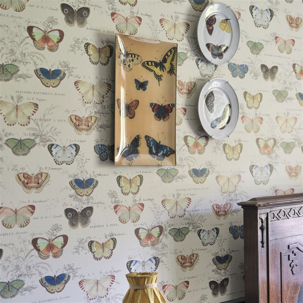 Butterfly Studies Picture Book Wallpapers I
