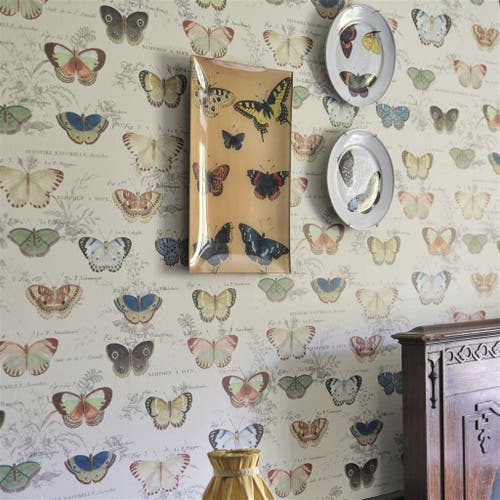 Butterfly Studies Picture Book Wallpapers I