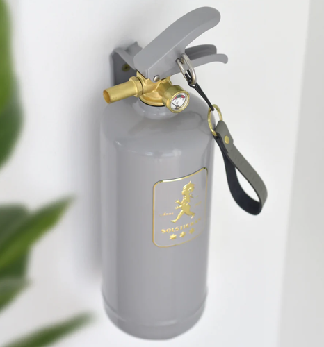 Brandsläckare 2 kg Grå/Guld