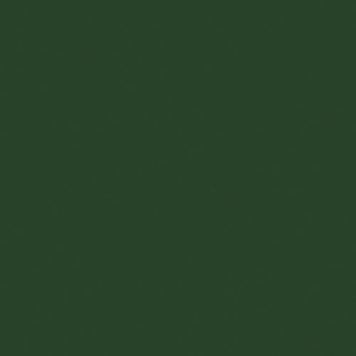 Colour basic Mörkgrön blank 15x15
