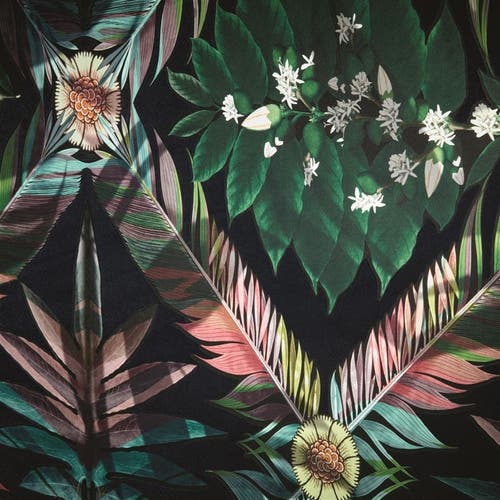 Christian Lacroix - Feather Park Utopia Wallpaper