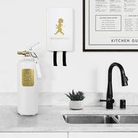 Brandsläckare 2 kg Vit/Guld