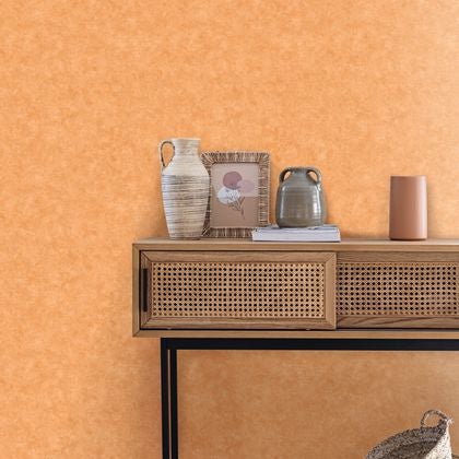 Caselio - Beton Uni Terre Cuite Beton 2