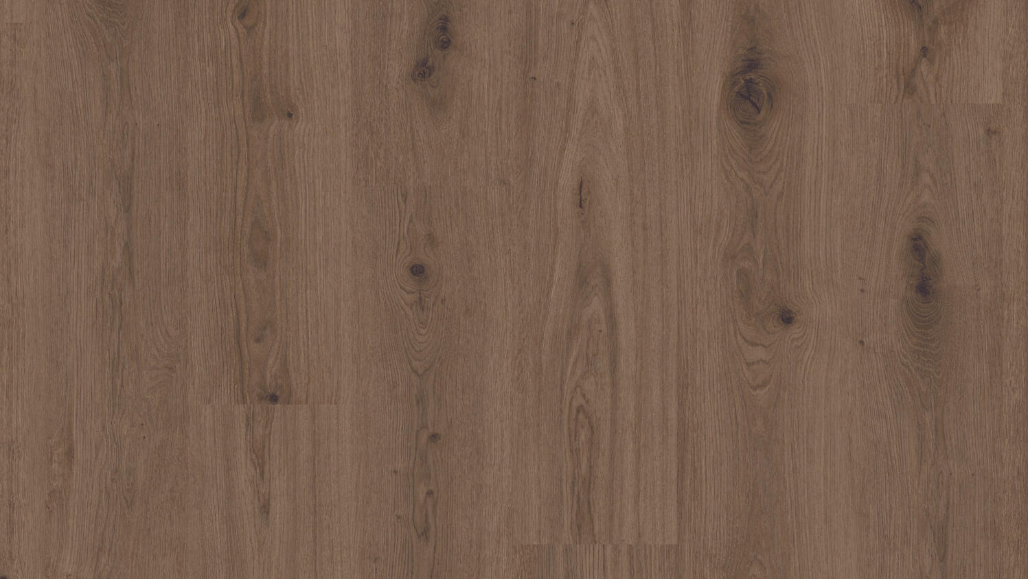 Delicate Oak Brown