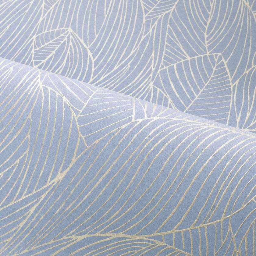 HOSTA LILAS/DORÉ JARDIN FÉLICIA