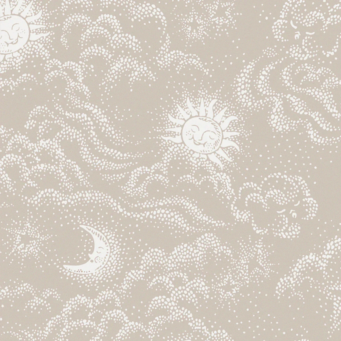Happy Cloud - Terra Powder