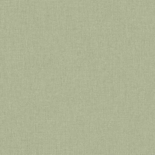 Caselio - Uni Mat Vert Eucalyptus Linen Edition 2