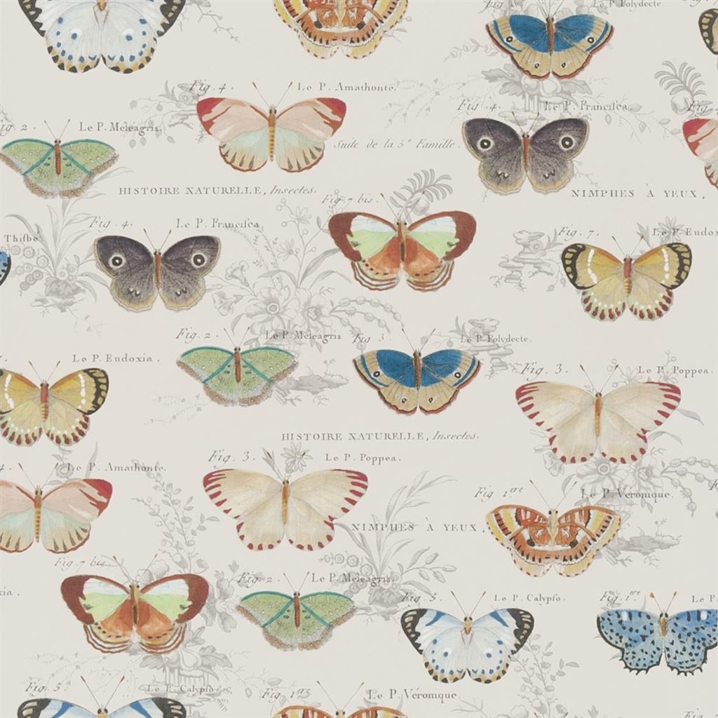 Butterfly Studies Picture Book Wallpapers I