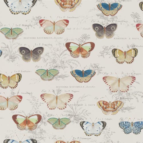 Butterfly Studies Picture Book Wallpapers I