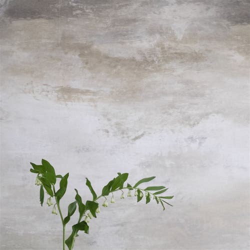 Designers Guild - Cielo Scenes and Murals