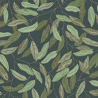 Florian - Midbec Skogsgläntan