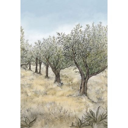 Casamance - Lauris Kaki/Ciel Panoramas 2