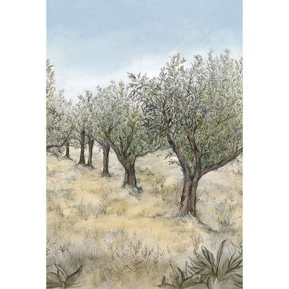 Casamance - Lauris Kaki/Ciel Panoramas 2