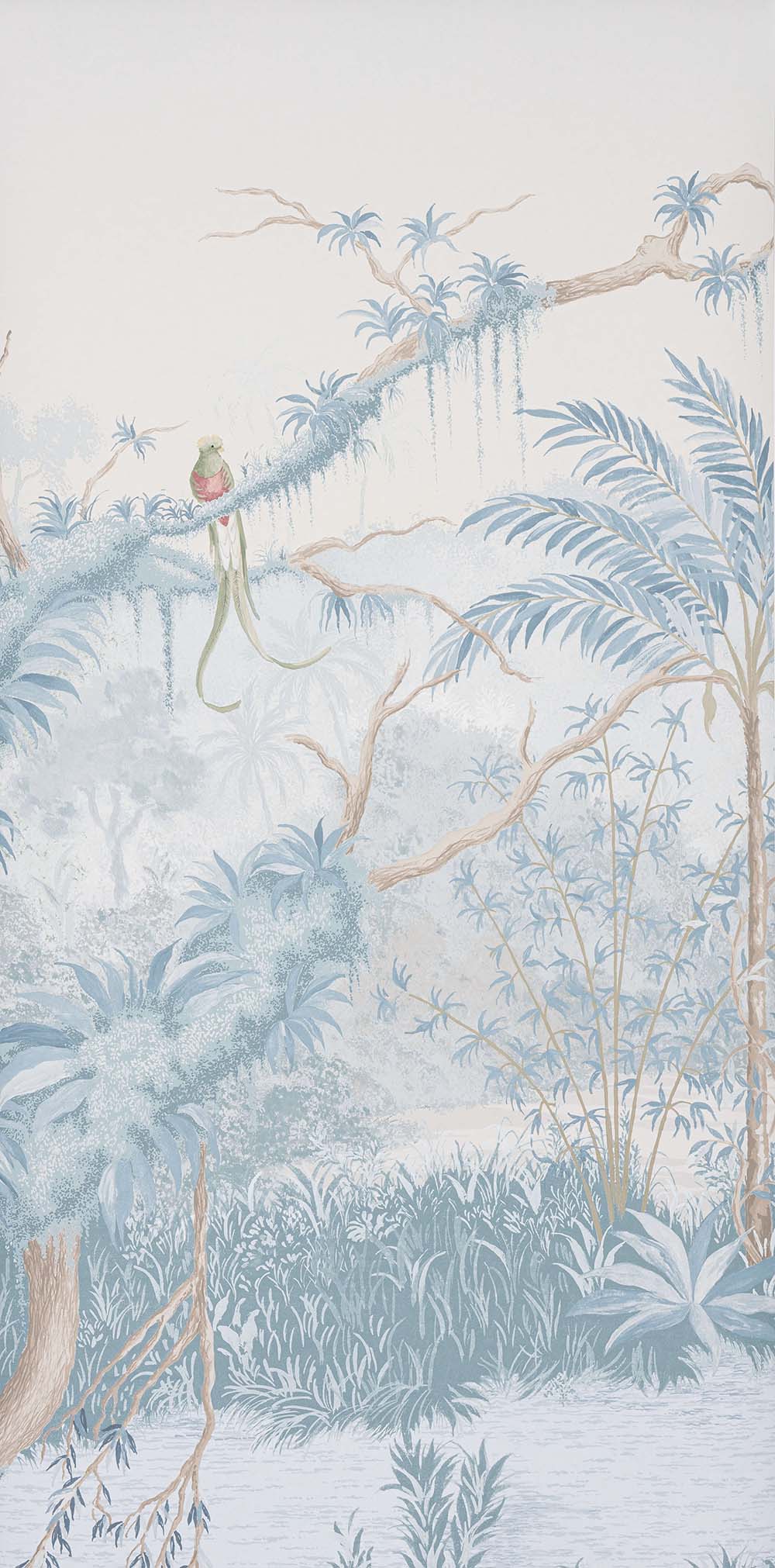 Manuel Canovas - Borneo Celeste