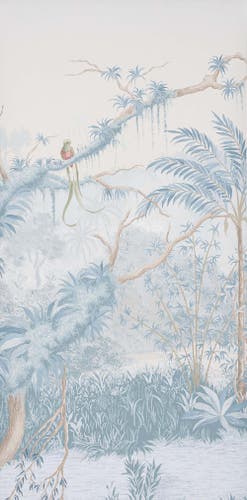 Manuel Canovas - Borneo Celeste
