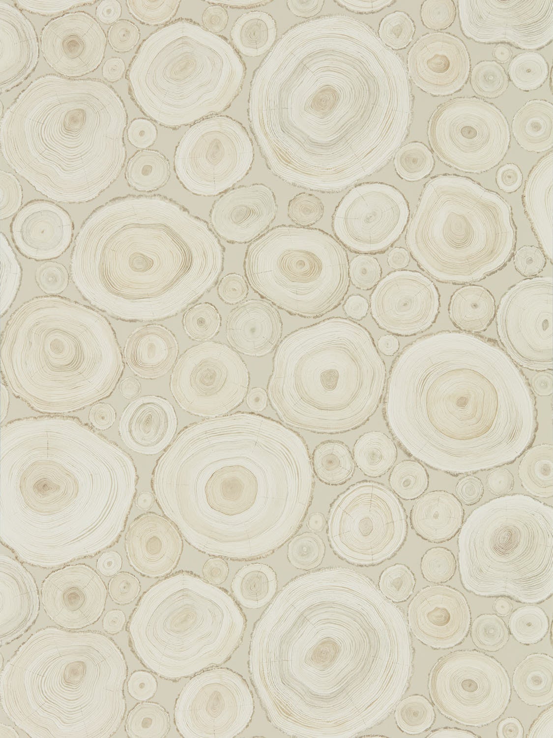 Sanderson - Alnwick Logs Birch Embleton Bay Wallpapers