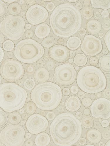 Sanderson - Alnwick Logs Birch Embleton Bay Wallpapers