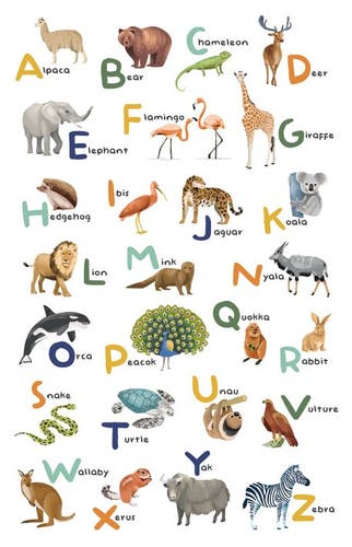 Caselio - Let S Learn The Alphabet Les Mini Mondes