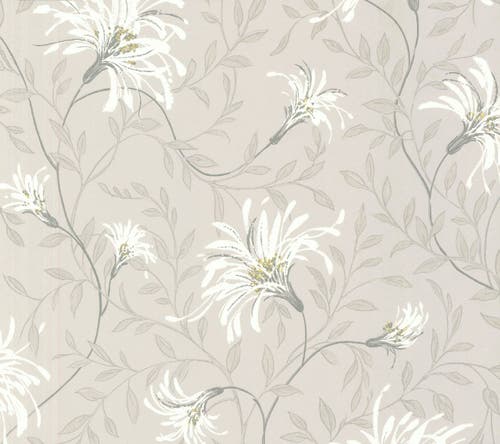 Carma - Fairhaven NW Rosemore