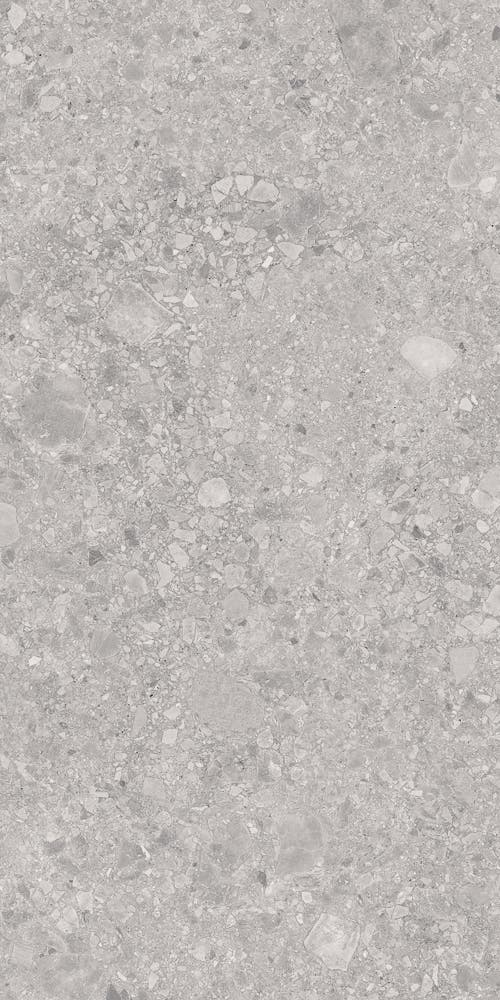 Ceppo Design Grey 60x120 såg