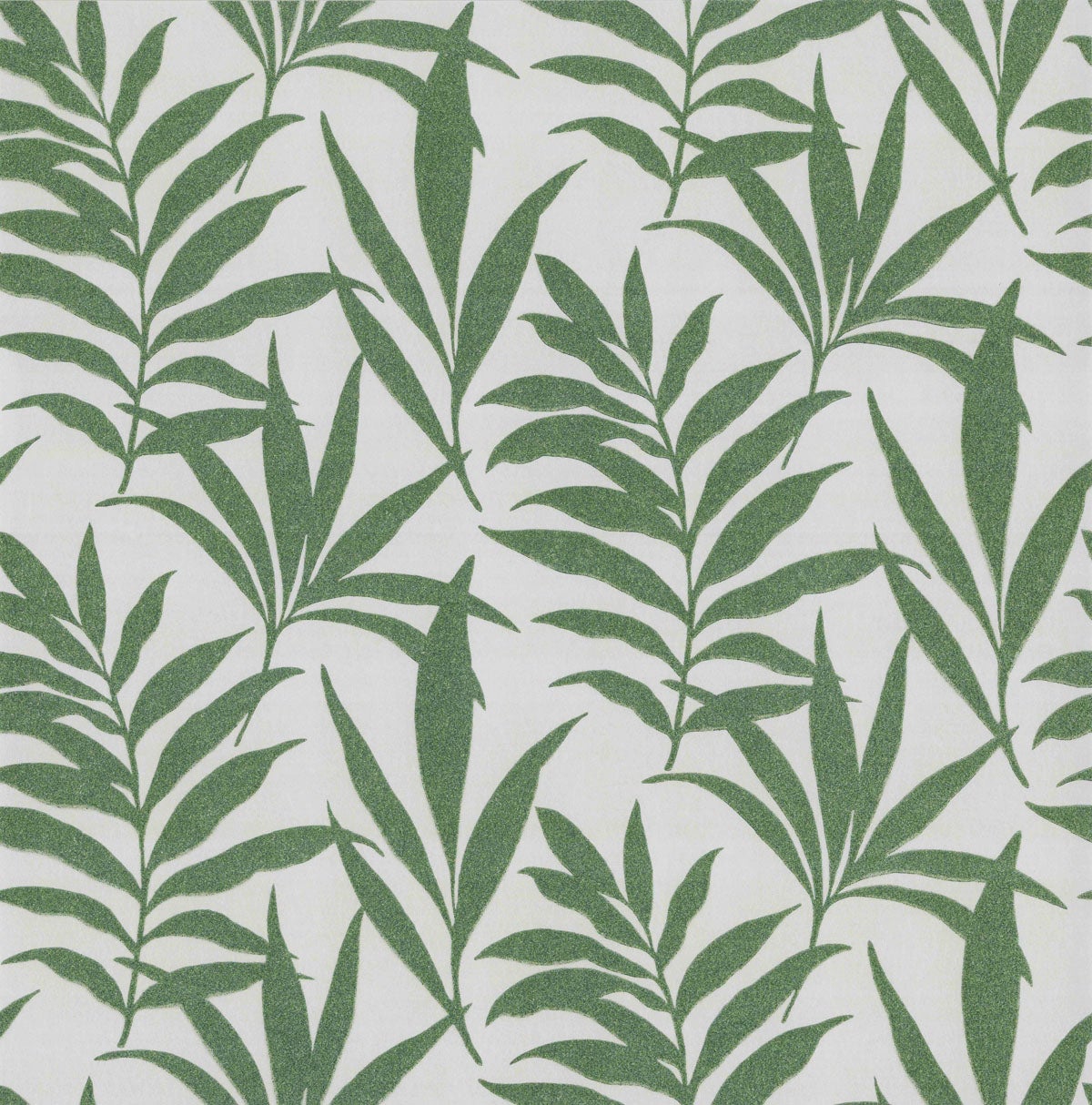 Carma - Verdi flock NW Camellia