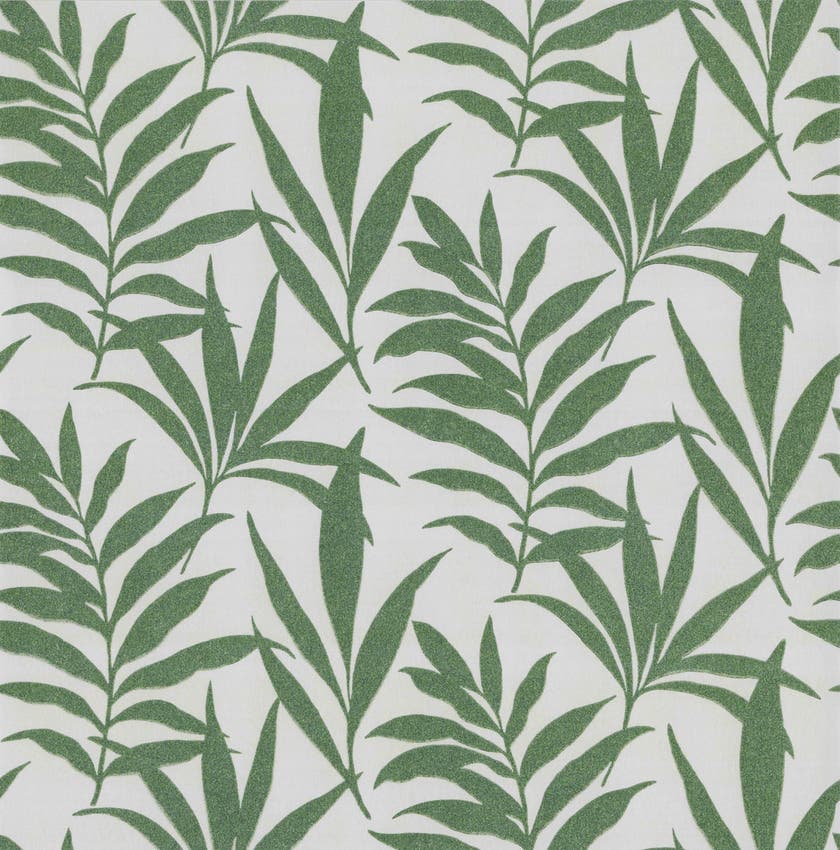 Carma - Verdi flock NW Camellia