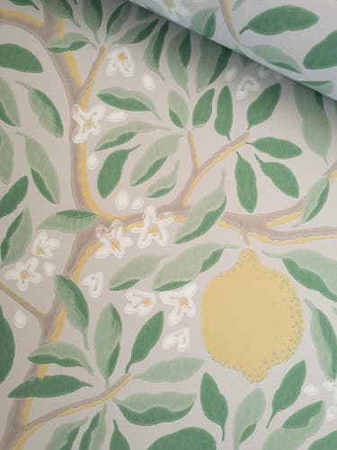 Citrus Ashy Greenery Norrviva