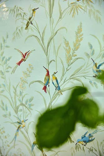 Sanderson - Fruit Aviary Duck Egg/Mul Country Woodland Wallcove