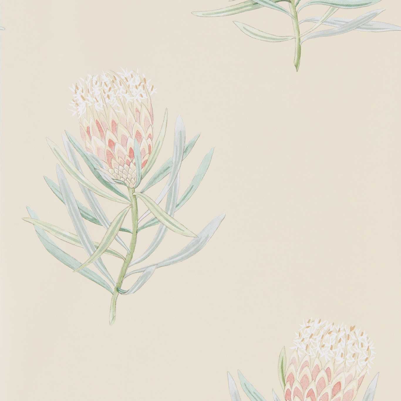 Sanderson - Protea Flower Russet/Green