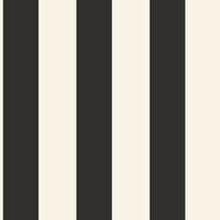 WIDE LINES NOIR BASICS