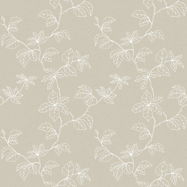 Fiona - Living@Home Papper