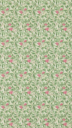 Morris & Co - Arbutus Olive/Pink Morris and Friends Wallpa