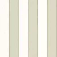 GOLDEN LINES VERT AMANDE BASICS