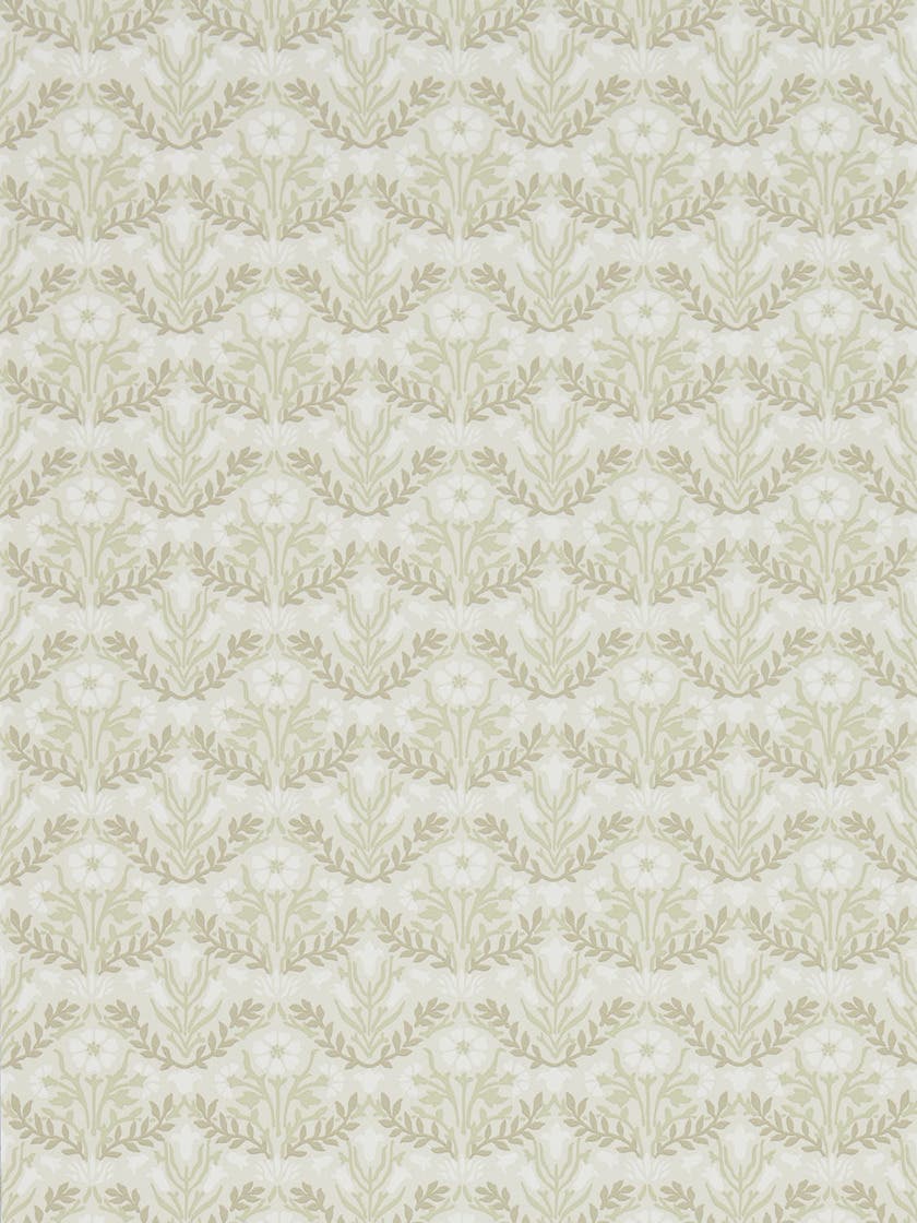 Morris Bellflowers Manill Archive IV The Collector