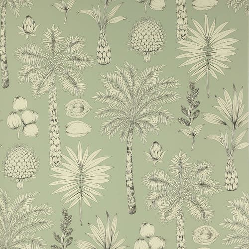 Manuel Canovas - Cote d'Azur Amande