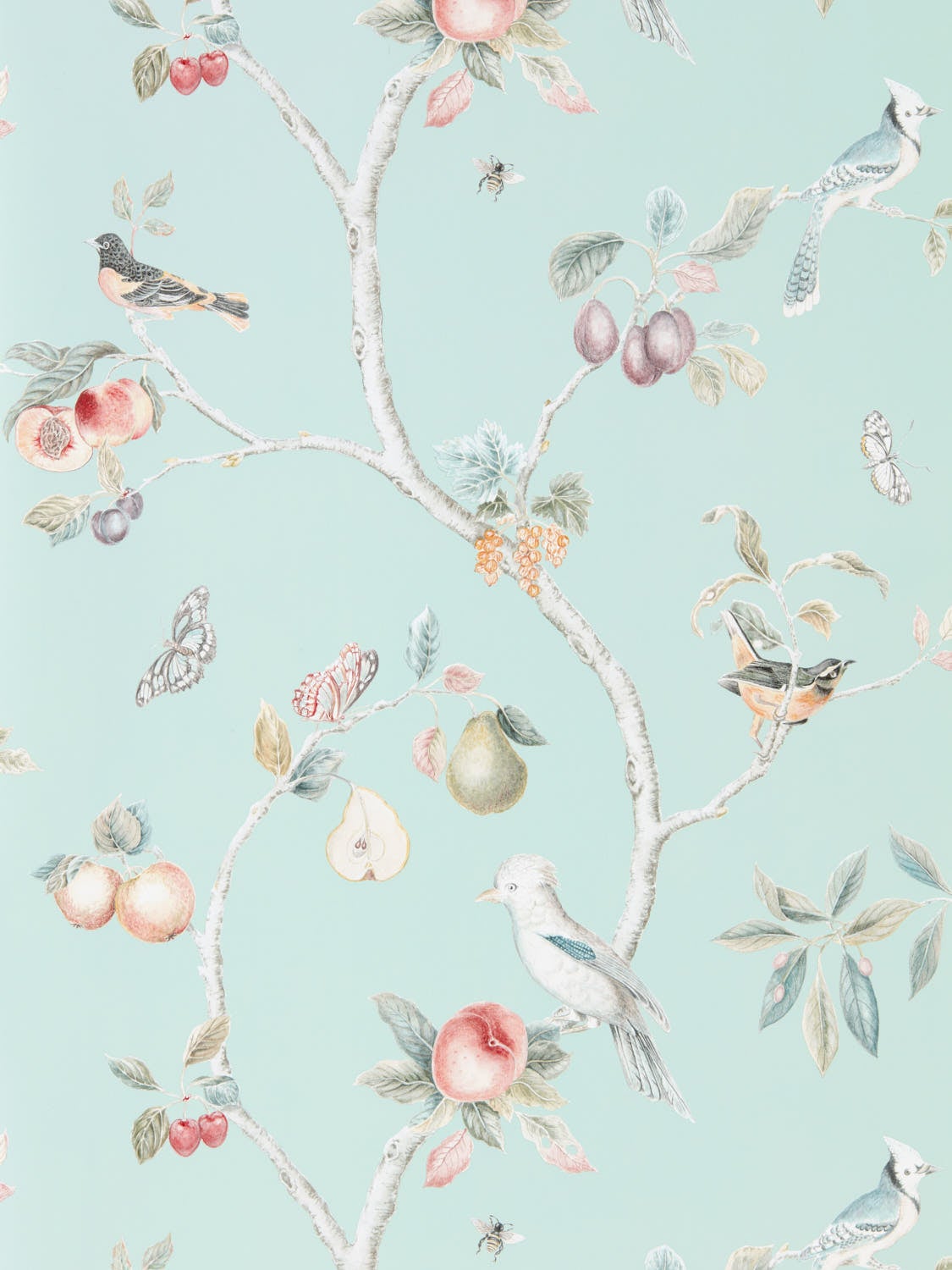 Sanderson - Fruit Aviary Duck Egg/Mul Country Woodland Wallcove