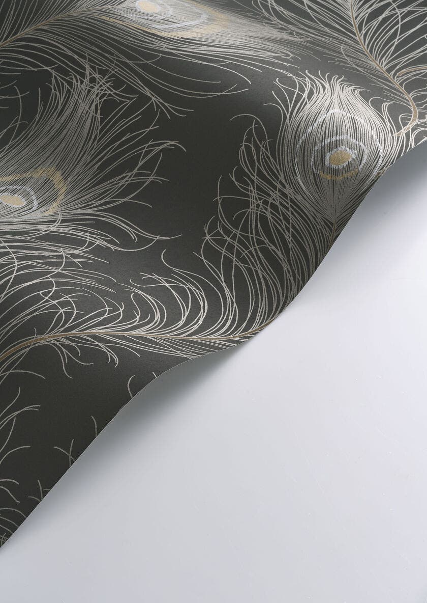 REVUE NOIR FUSAIN / OR ANNEES FOLLES