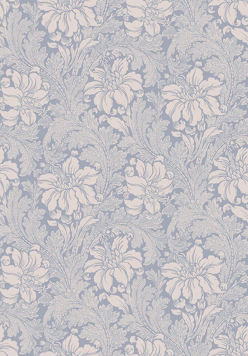 Acanthus - Vårt Arkiv