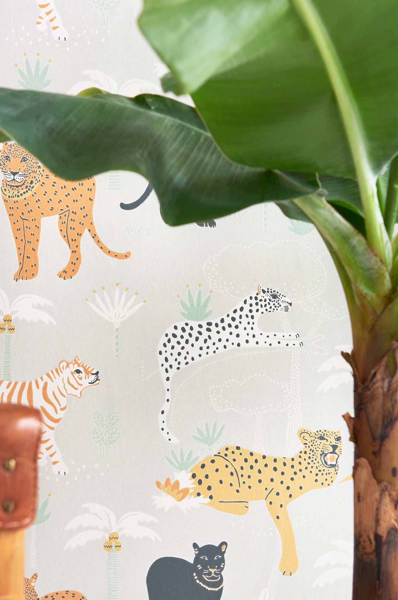 Majvillan - Black panther Wish upon your dreams