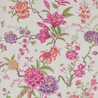 Beauchamp Rose Persan
