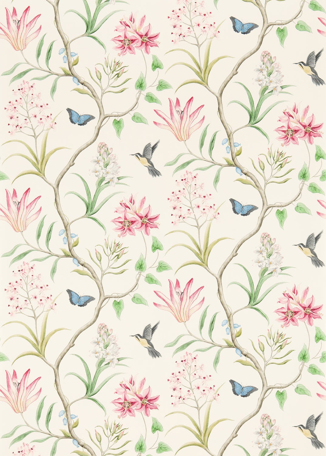 Sanderson - Clementine Chintz Sanderson One Sixty Wallp