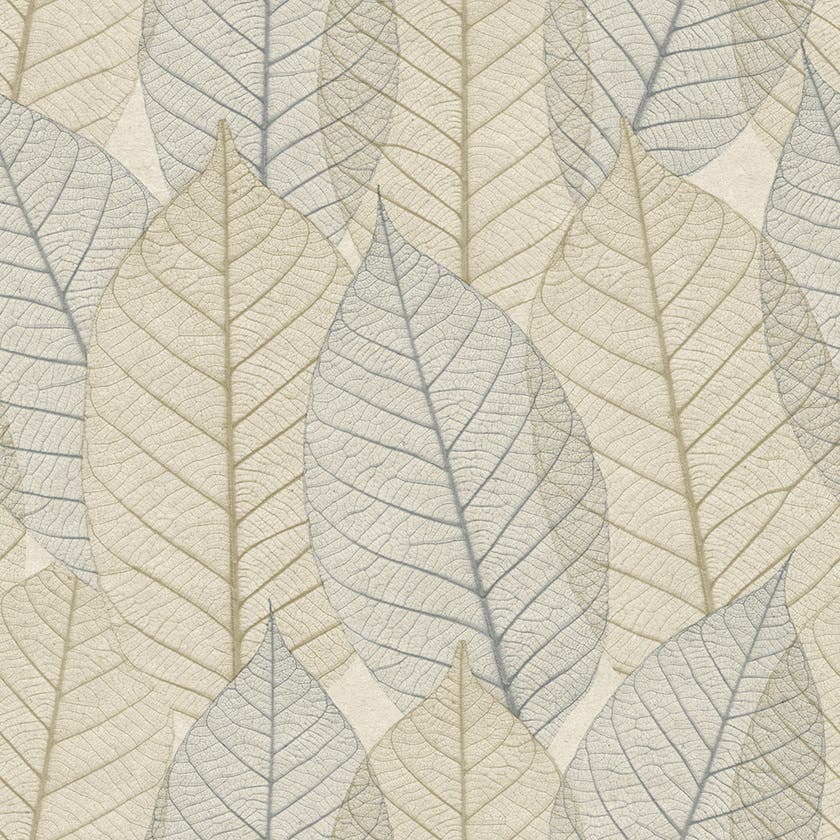 Leaves Veins