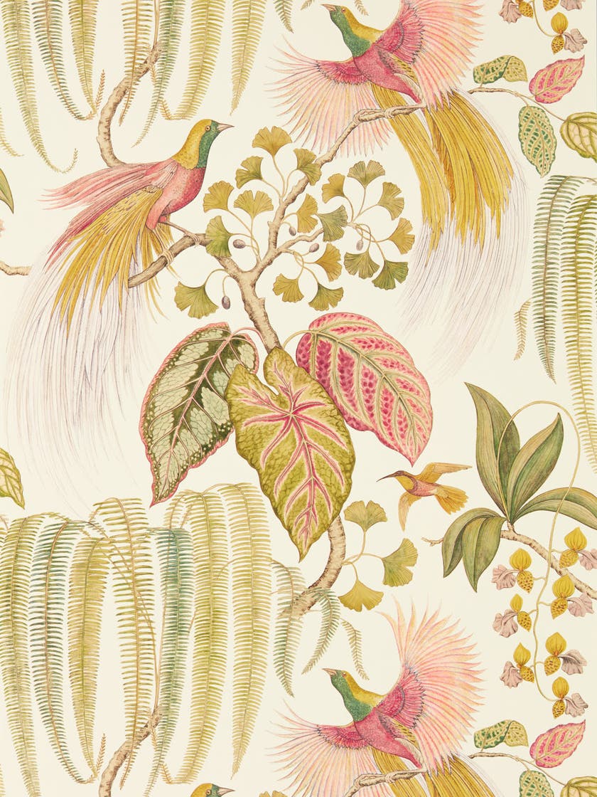 Sanderson - Bird Of Paradise Olive Glasshouse Wallpapers