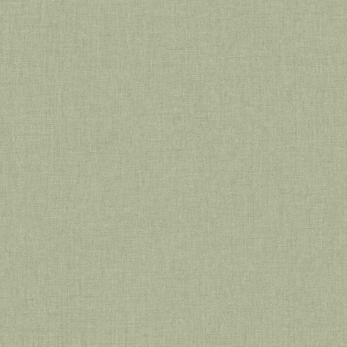 Caselio - Uni Mat Vert Eucalyptus Linen Edition 2