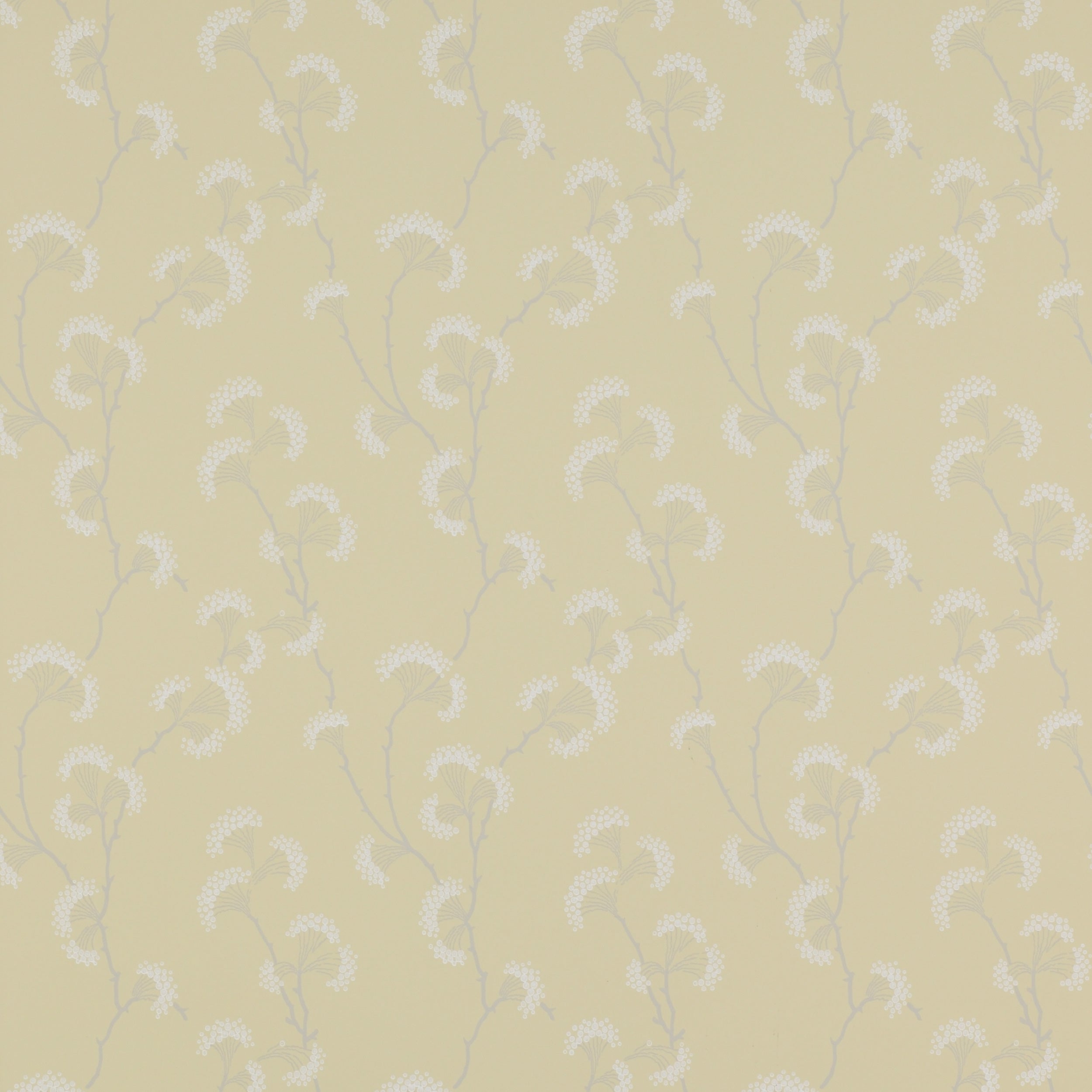 Colefax and Fowler - Ashbury Yellow