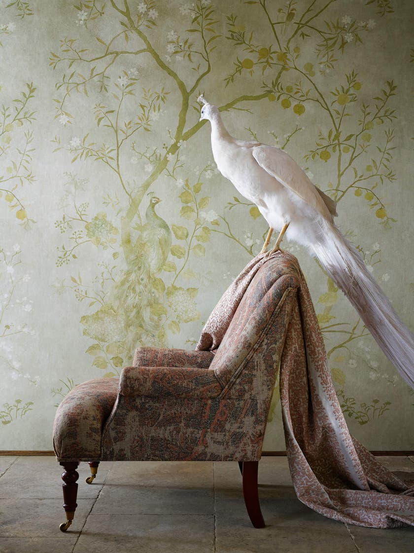 Zoffany - Rotherby Old Gold Kensington Walk Wallpaper