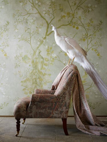 Zoffany - Rotherby Old Gold Kensington Walk Wallpaper