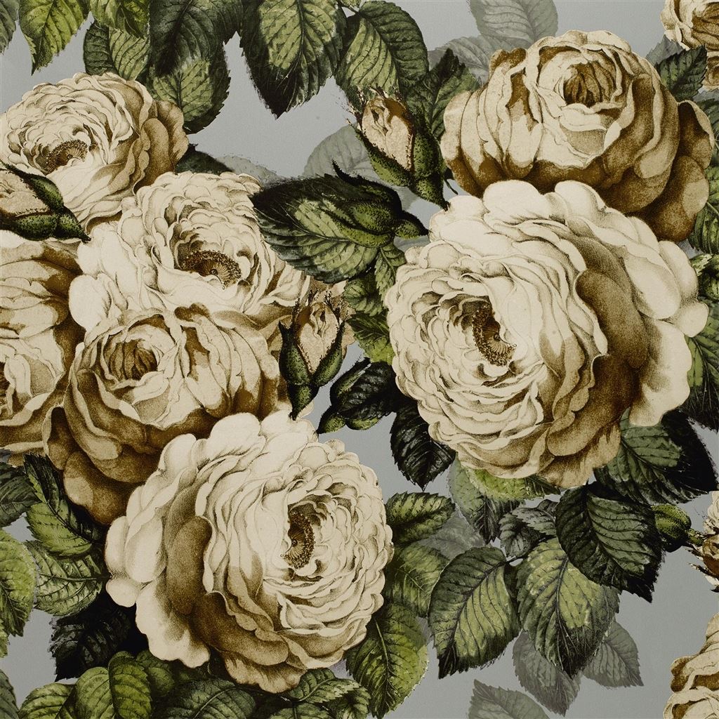 The Rose Picture Book Wallpapers I